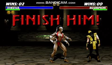 mortal kombat fatality gif